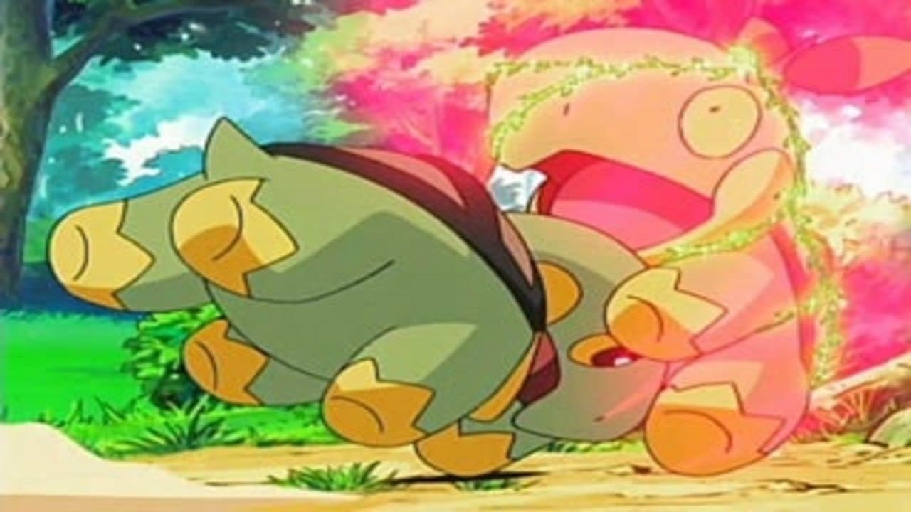 Rien ne vaut un Pokémon plante !! Rien ne vaut un Pokémon plante !!