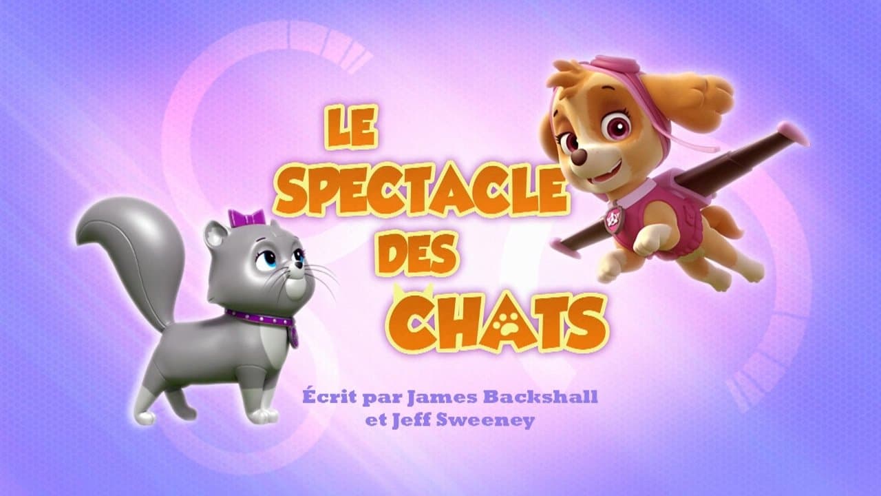 Le Spectacle des chats Le Spectacle des chats