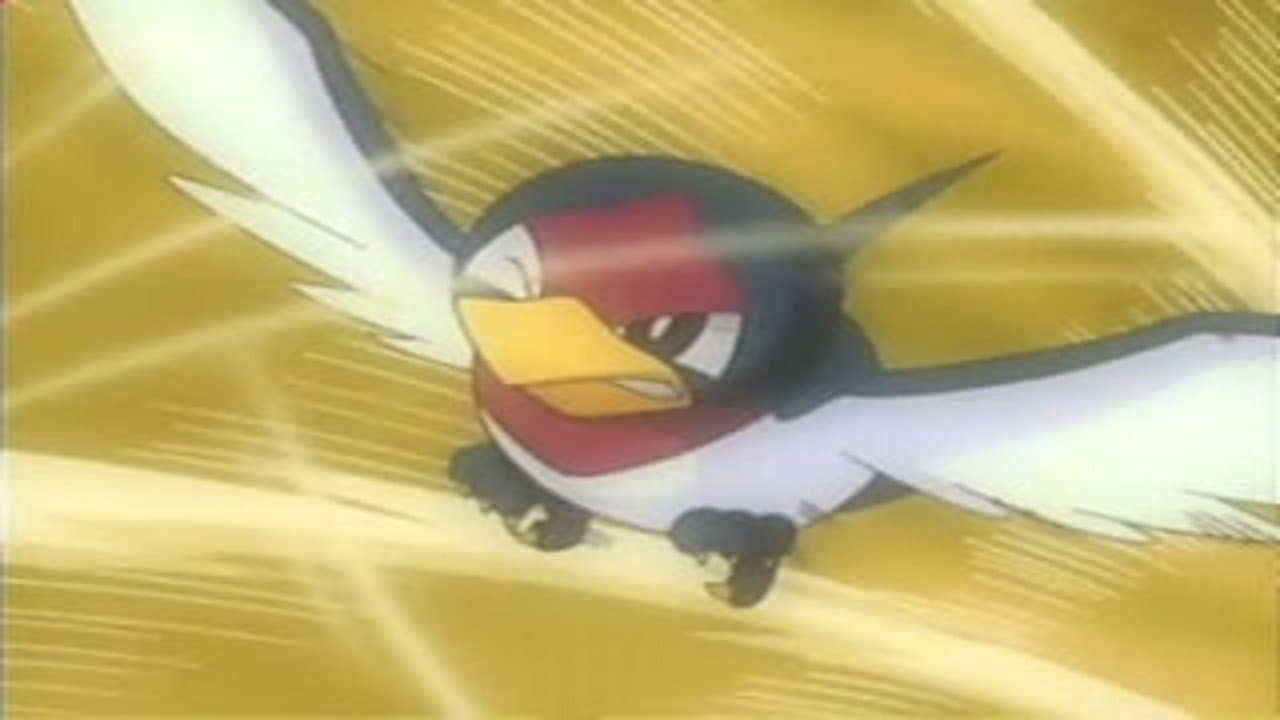Le tournoi de Pokévolanneaux Le tournoi de Pokévolanneaux