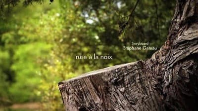 Ruse à la noix Ruse à la noix