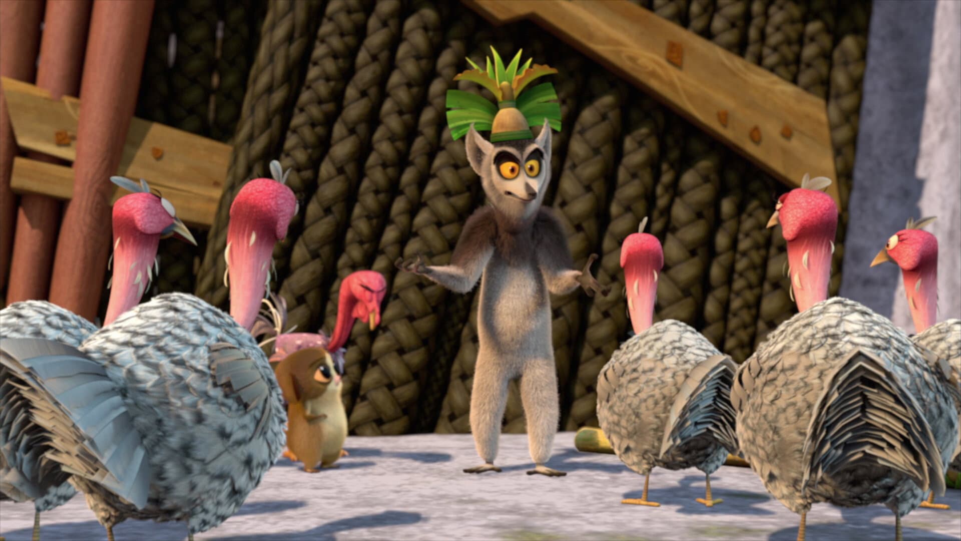 Le coq de la jungle Le coq de la jungle