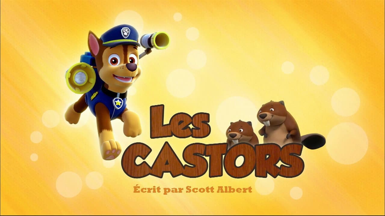 Les Castors Les Castors