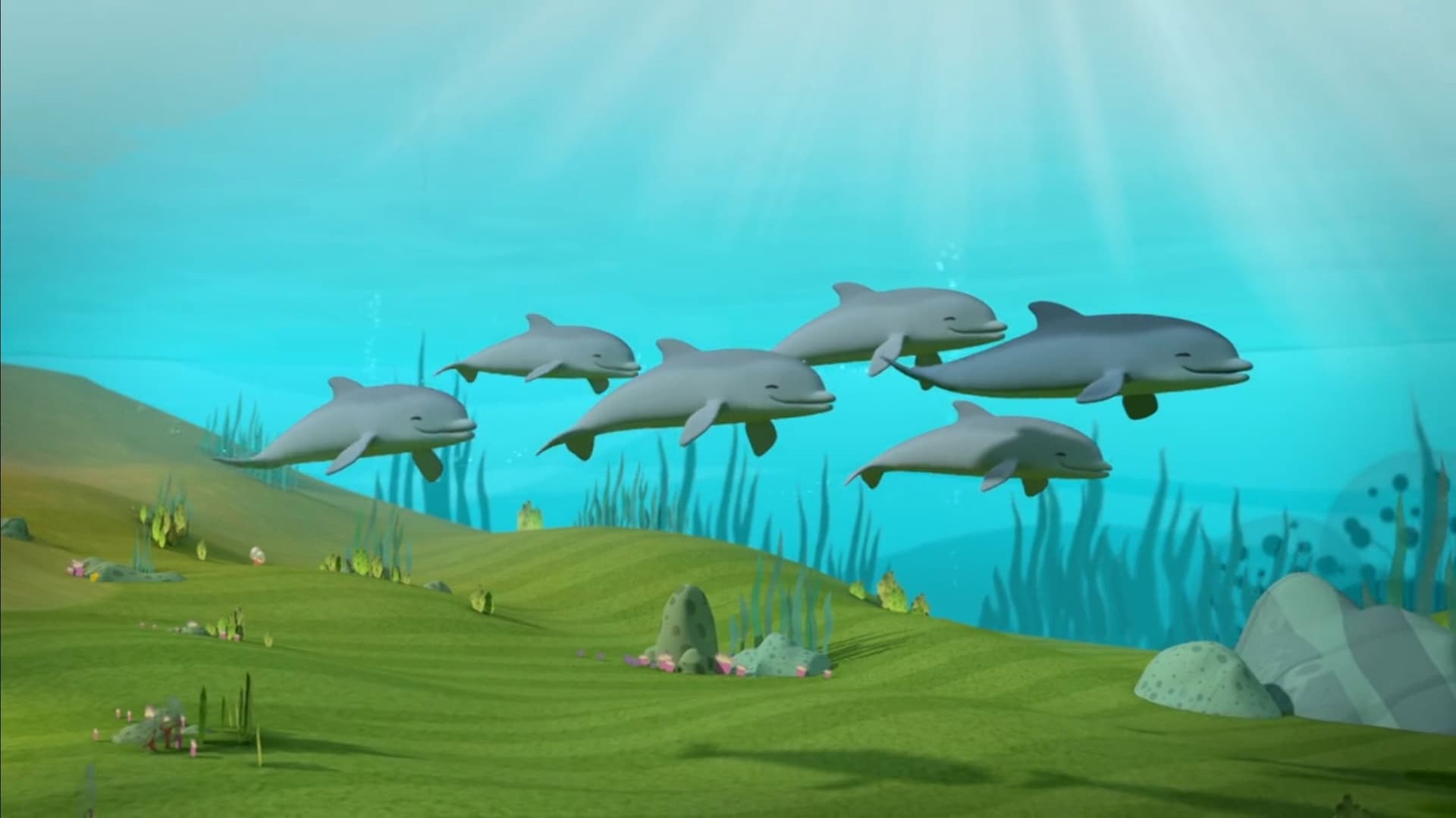 Les dauphins à long bec Les dauphins à long bec