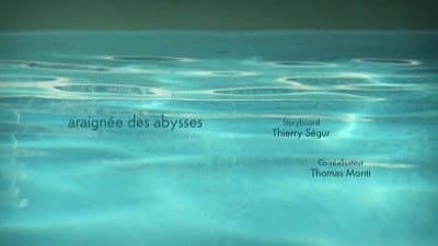 Araignées des abysses Araignées des abysses