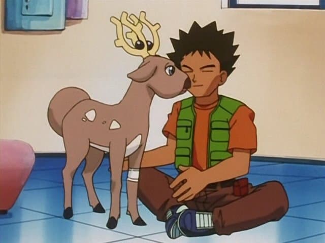 Le tout petit des grands bois Le tout petit des grands bois