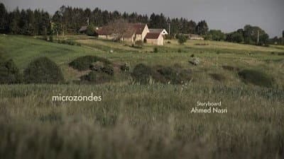 Microzondes Microzondes