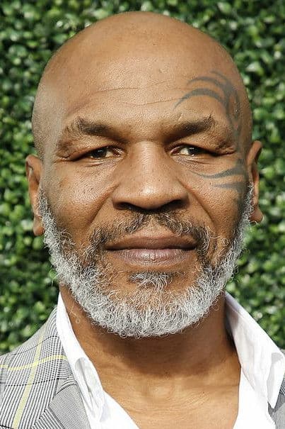 Mike Tyson profile Mike Tyson profile