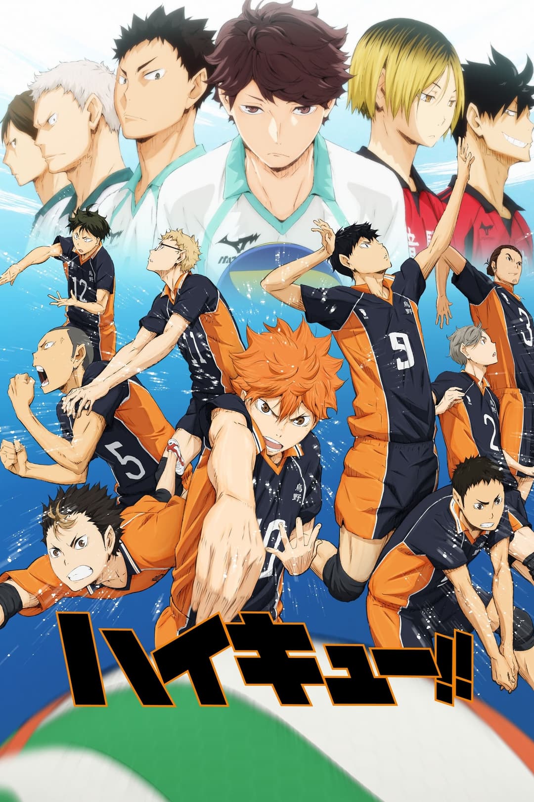 Haikyū!! Haikyū!!