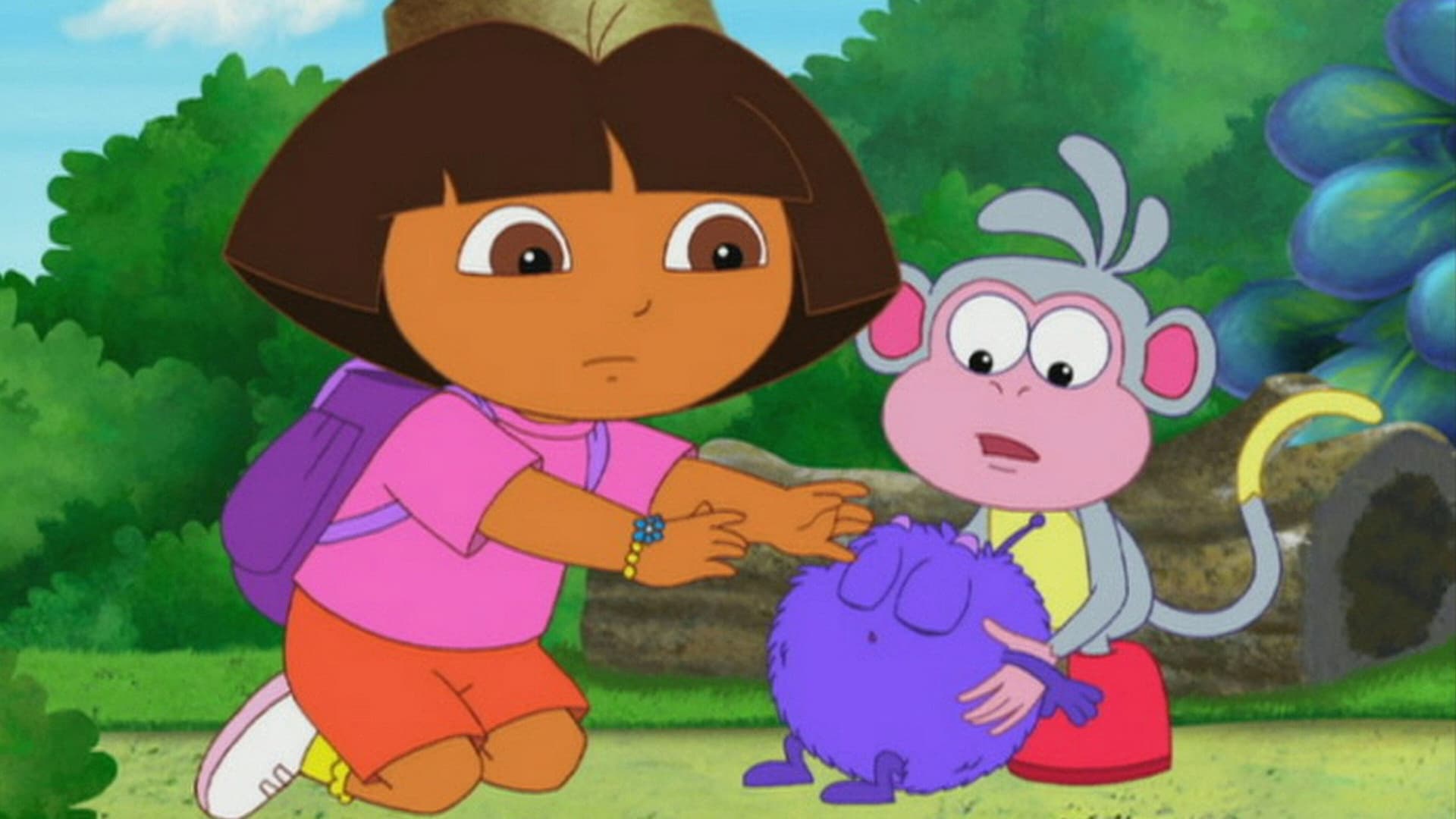 Bébé Winky rentre chez lui Bébé Winky rentre chez lui