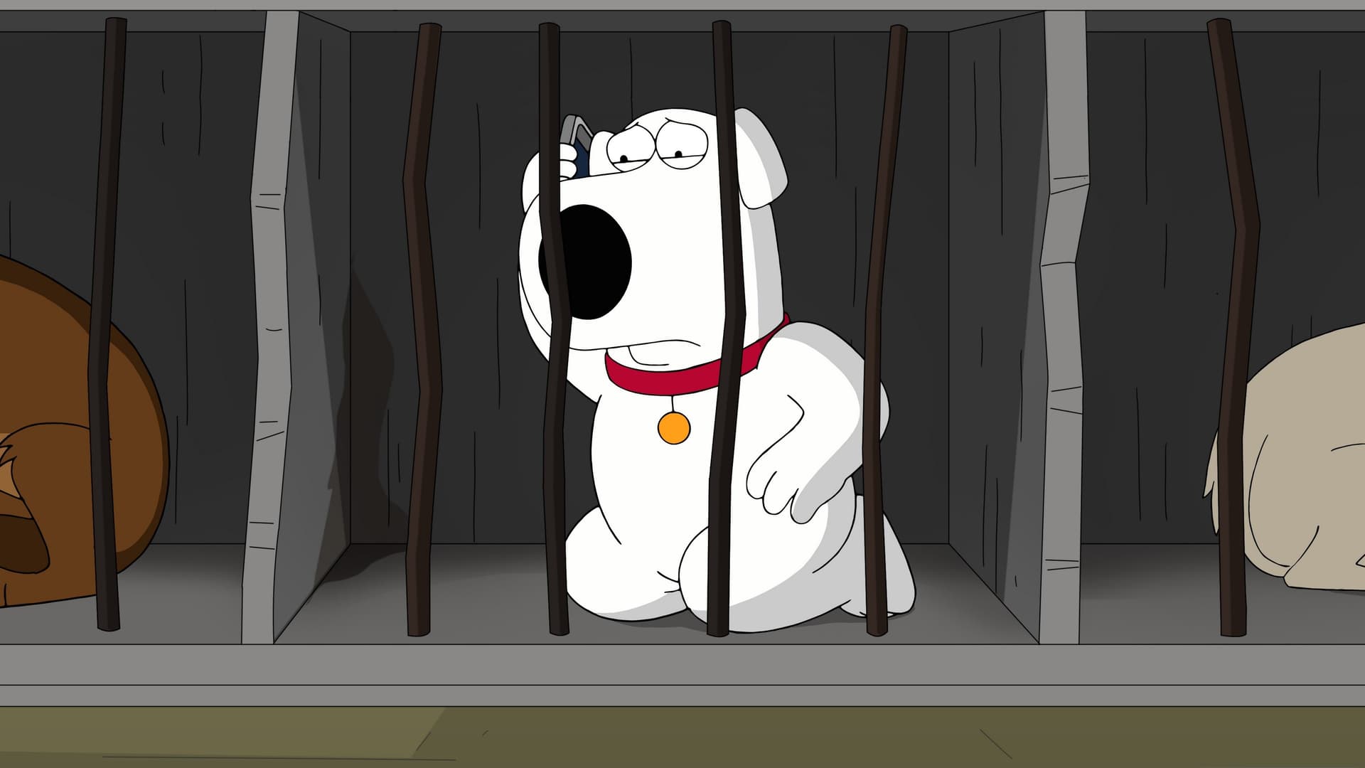 Le Chien de Wall Street Le Chien de Wall Street