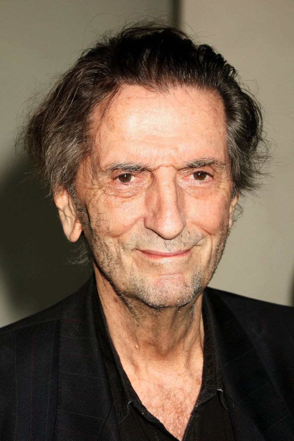 Harry Dean Stanton profile Harry Dean Stanton profile