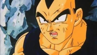Songoku joue son va-tout Songoku joue son va-tout