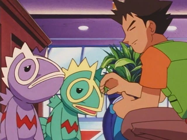 Kecleon kleptomane Kecleon kleptomane