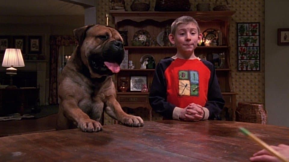 Une vie de chien Une vie de chien