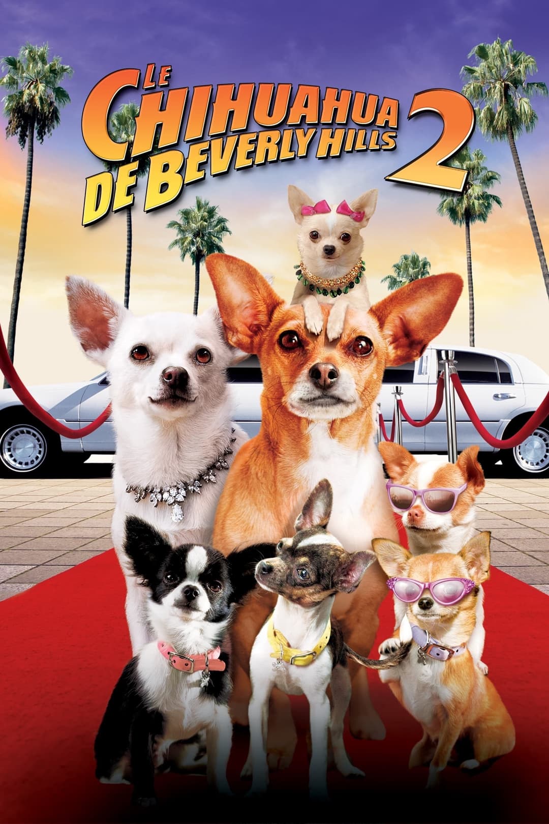 Le Chihuahua de Beverly Hills 2 Le Chihuahua de Beverly Hills 2