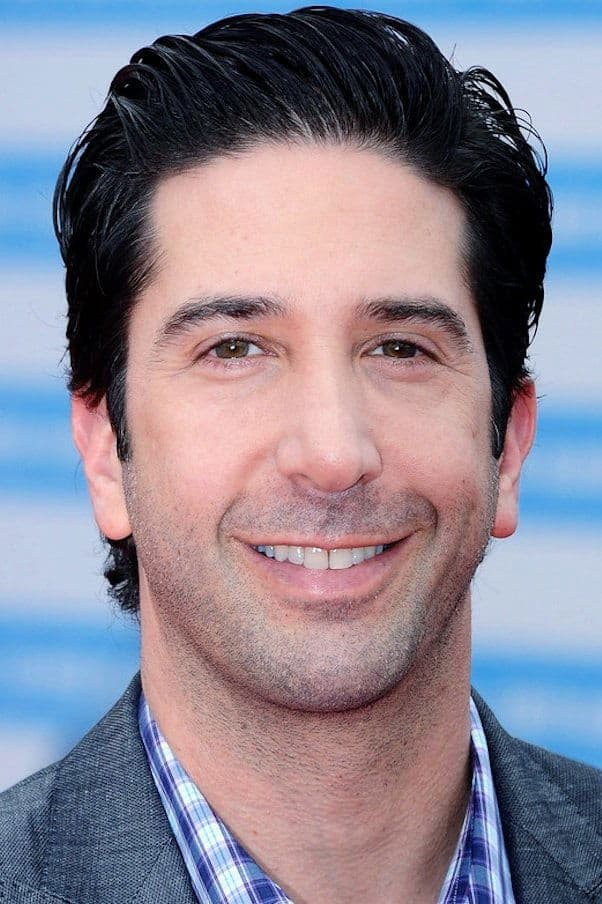 David Schwimmer profile David Schwimmer profile