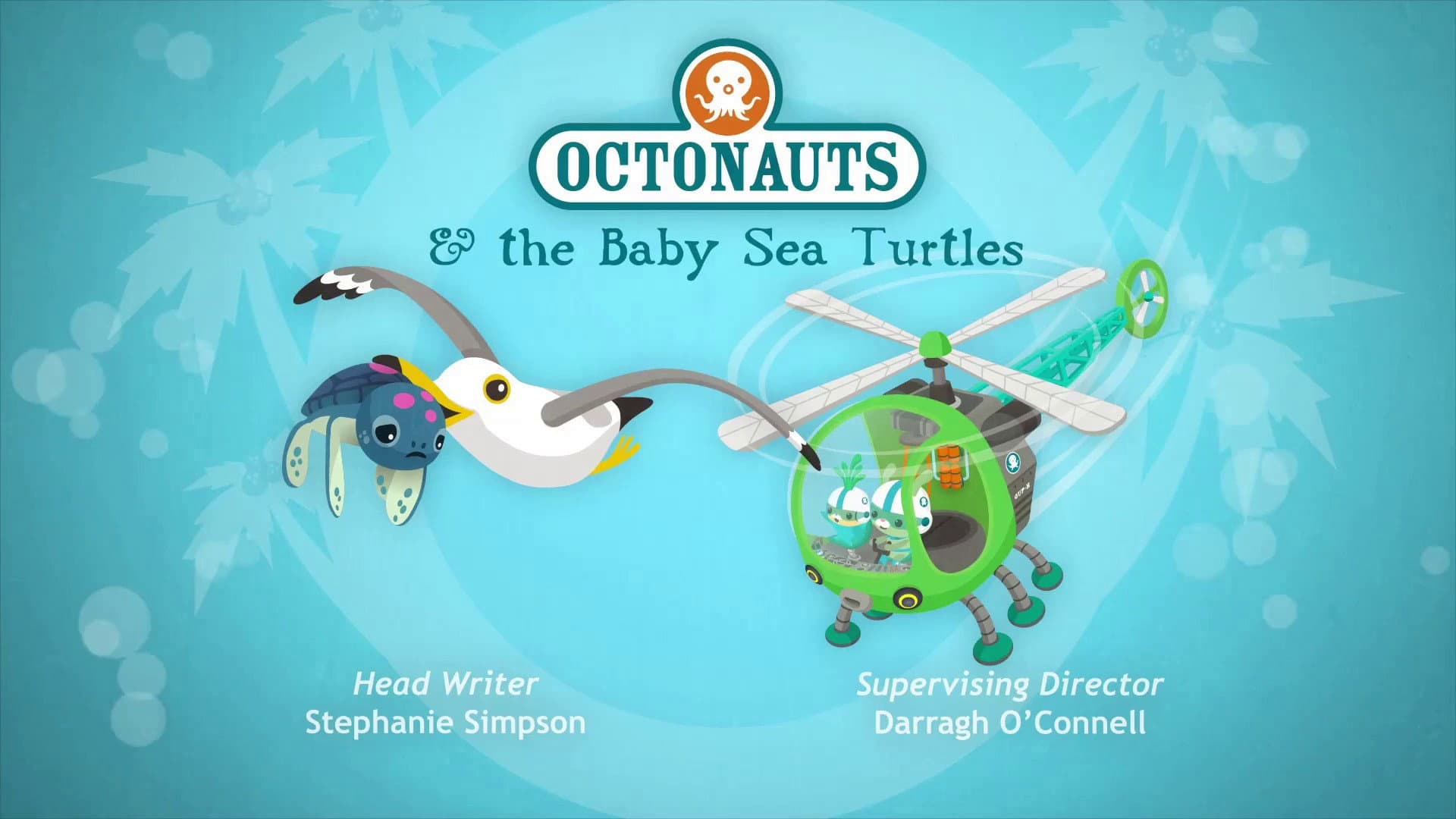 Les bébés tortues de mer Les bébés tortues de mer