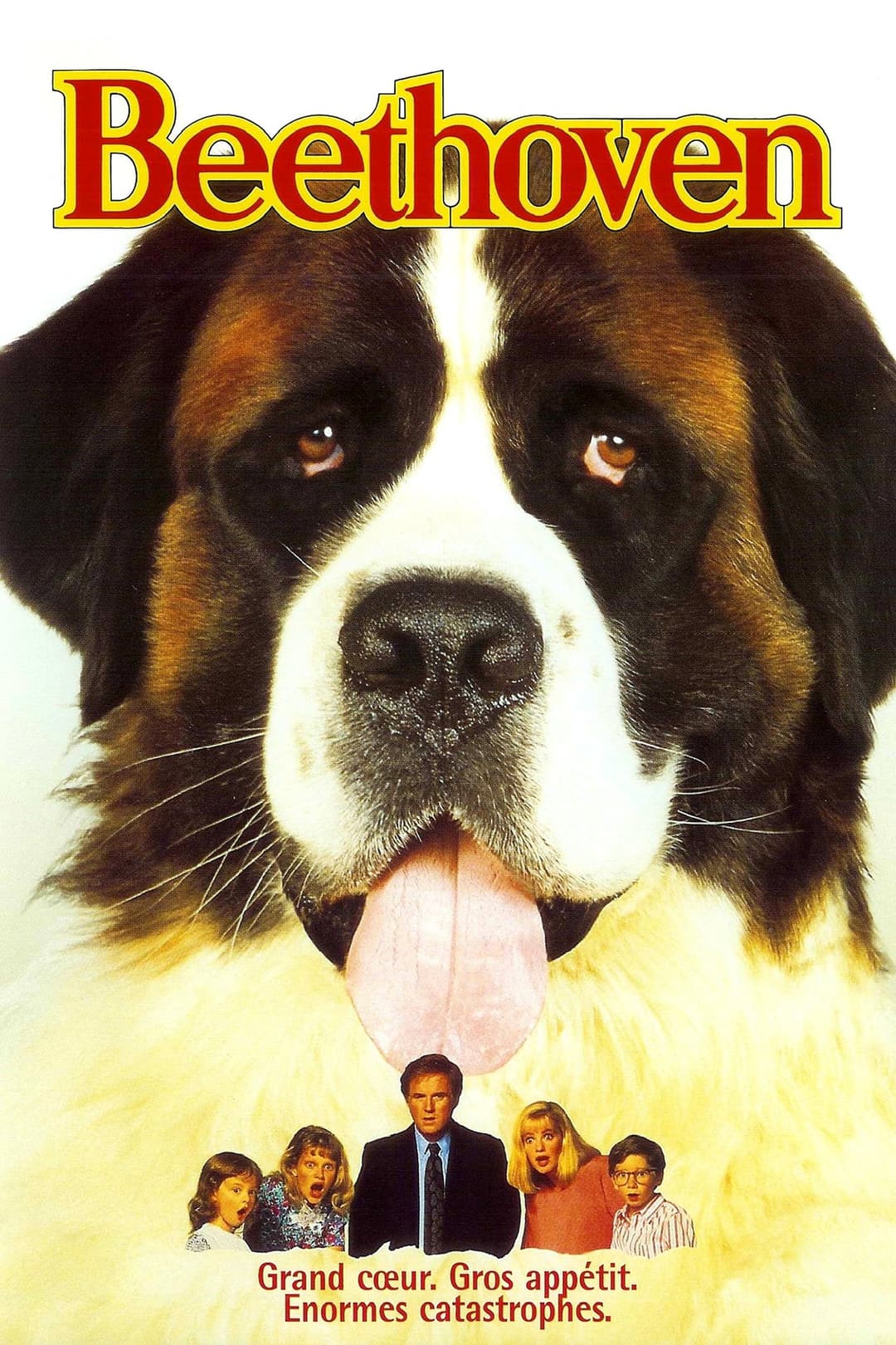 Beethoven Beethoven