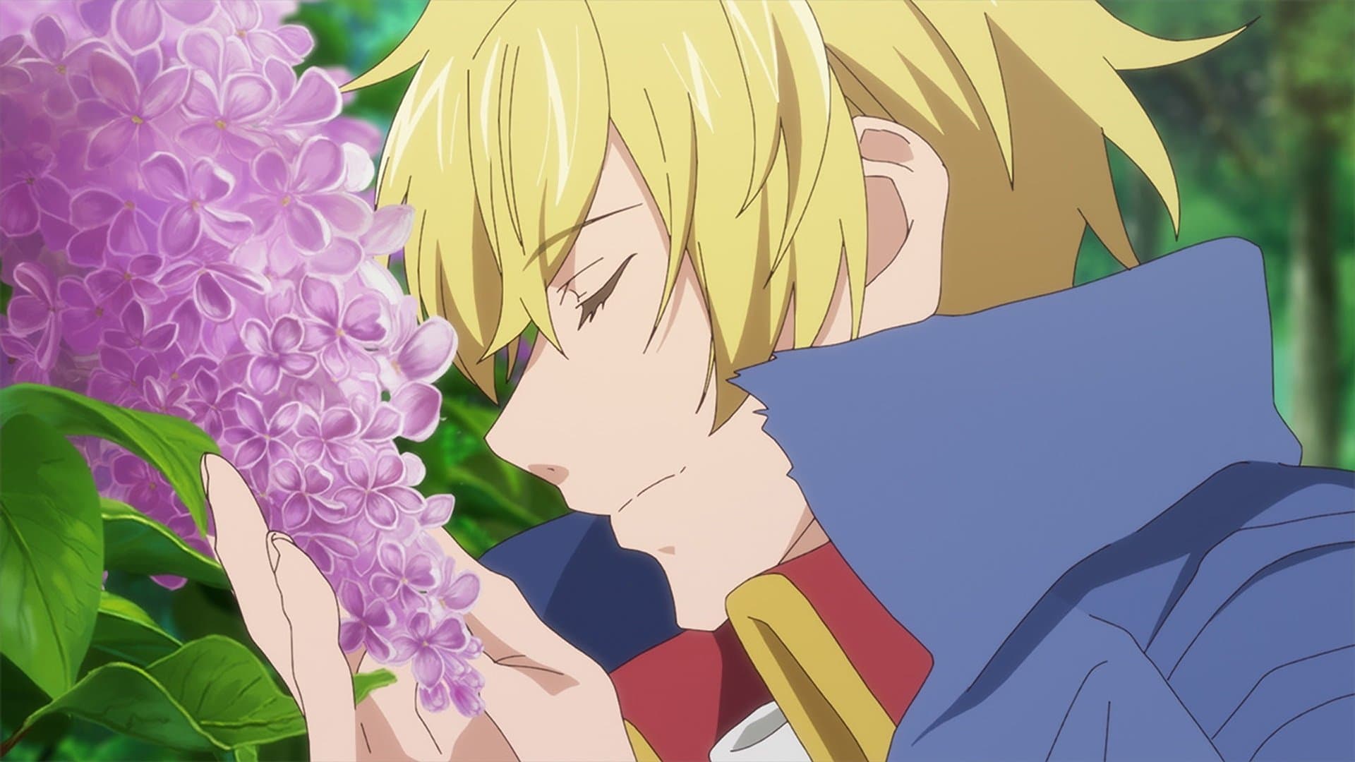 Affection Affection