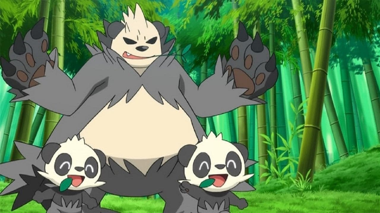 Une forêt de bambous pleine de surprises ! Une forêt de bambous pleine de surprises !