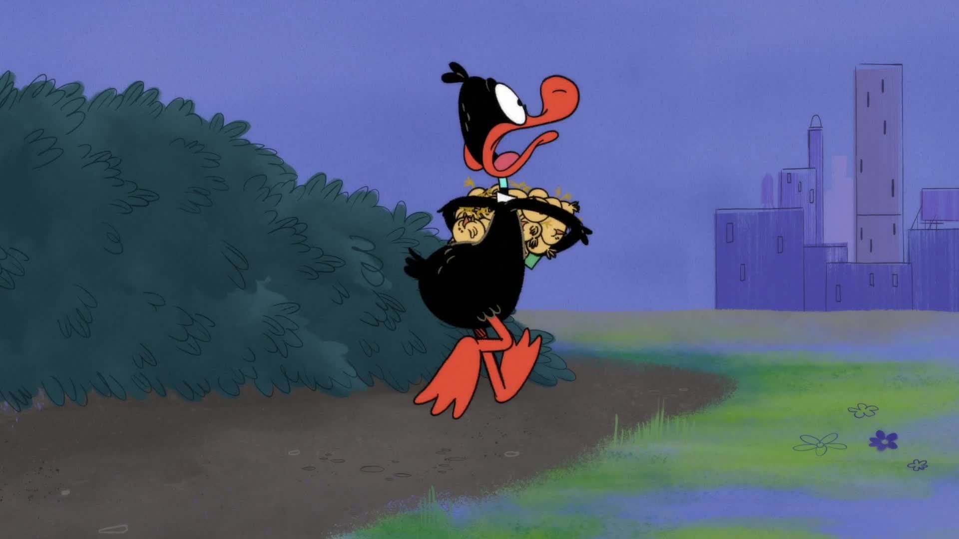 Des miettes pour Daffy Des miettes pour Daffy