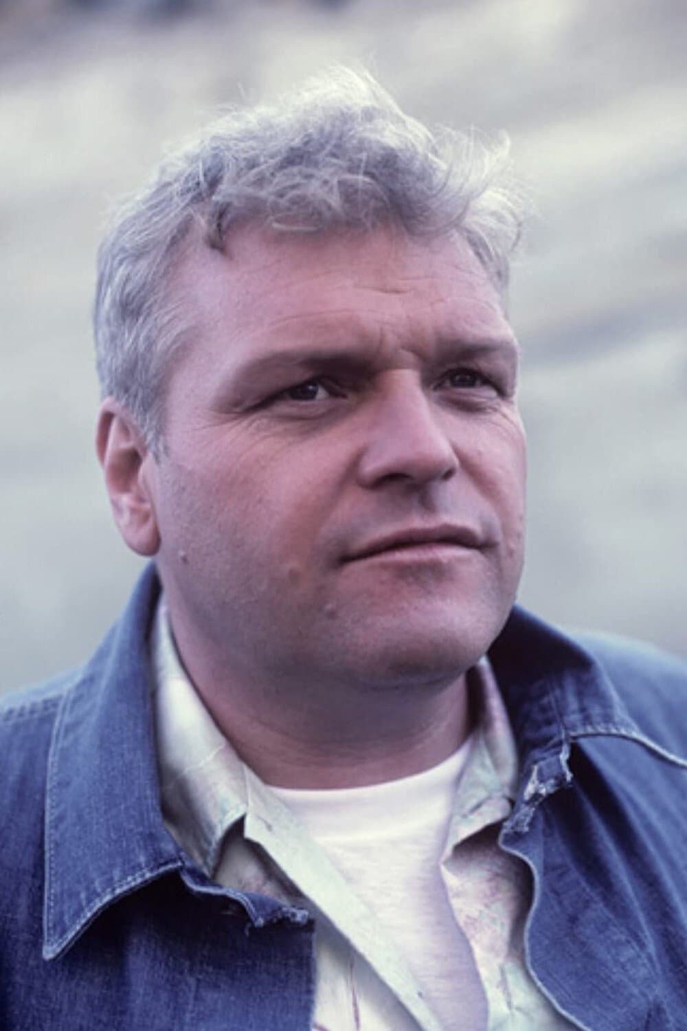 Brian Dennehy profile Brian Dennehy profile