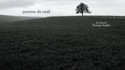Pomme de Noël Pomme de Noël