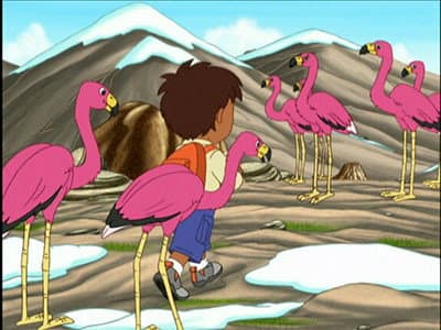 Le lac des flamants roses Le lac des flamants roses