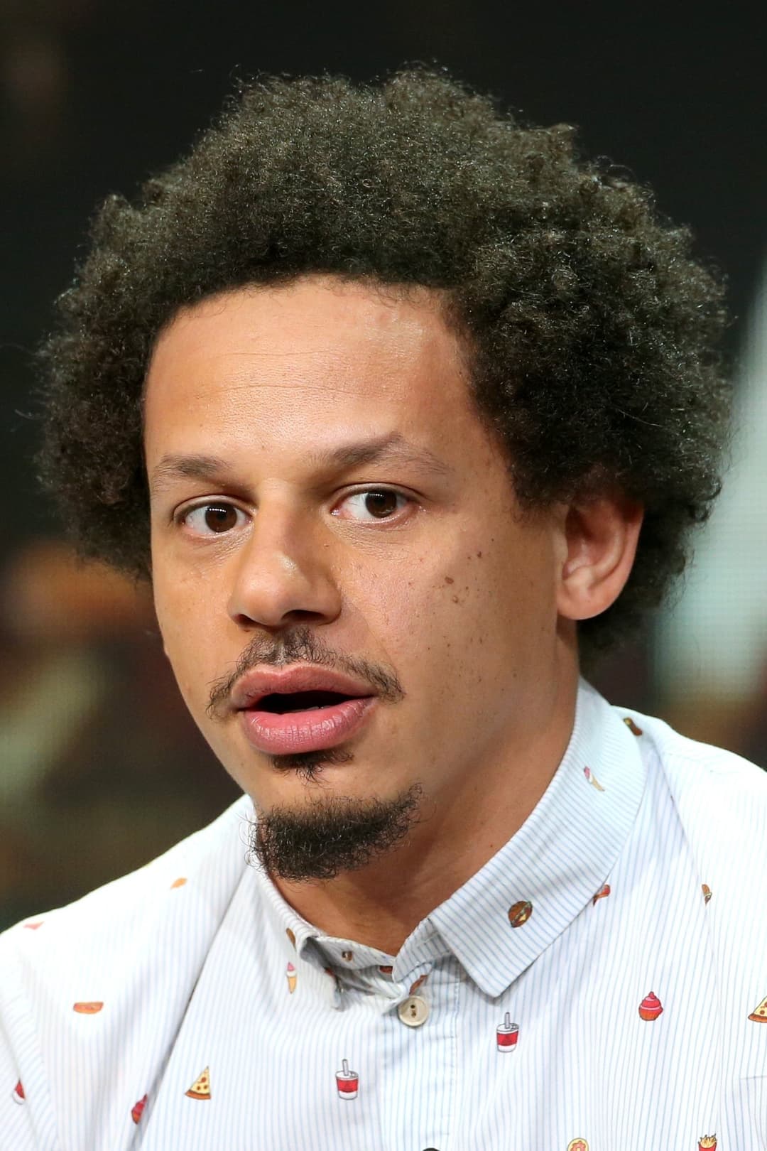 Eric André profile Eric André profile