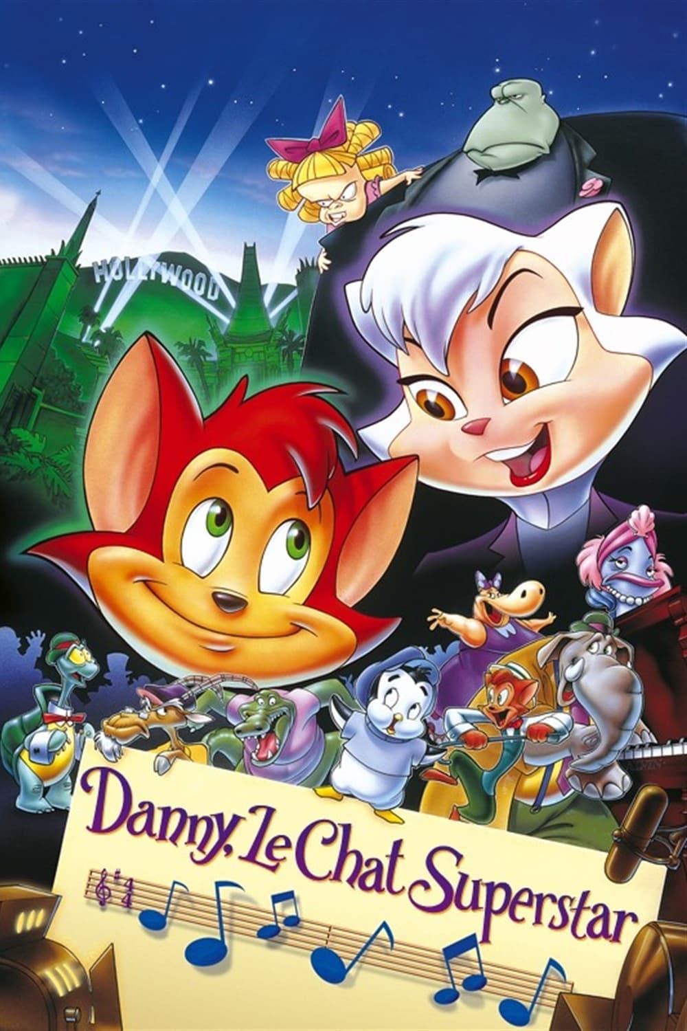 Dany, le chat superstar Dany, le chat superstar