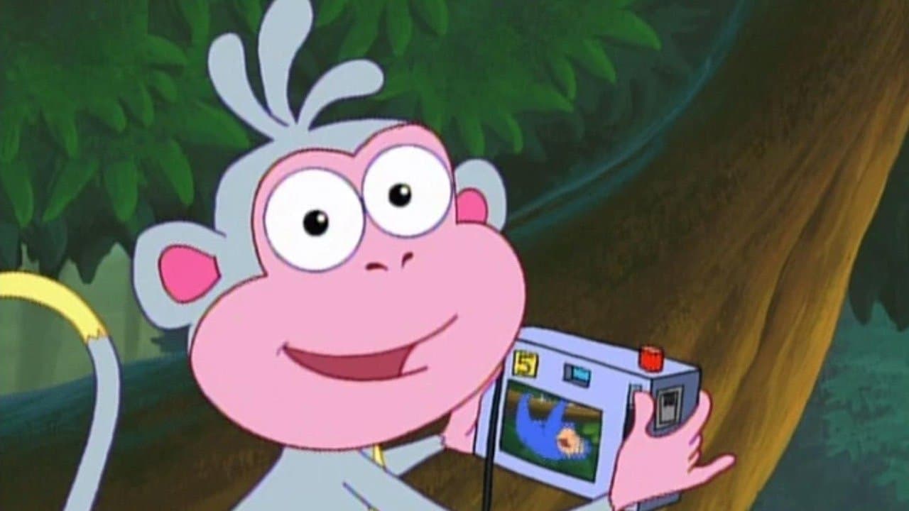 Dora photographe Dora photographe