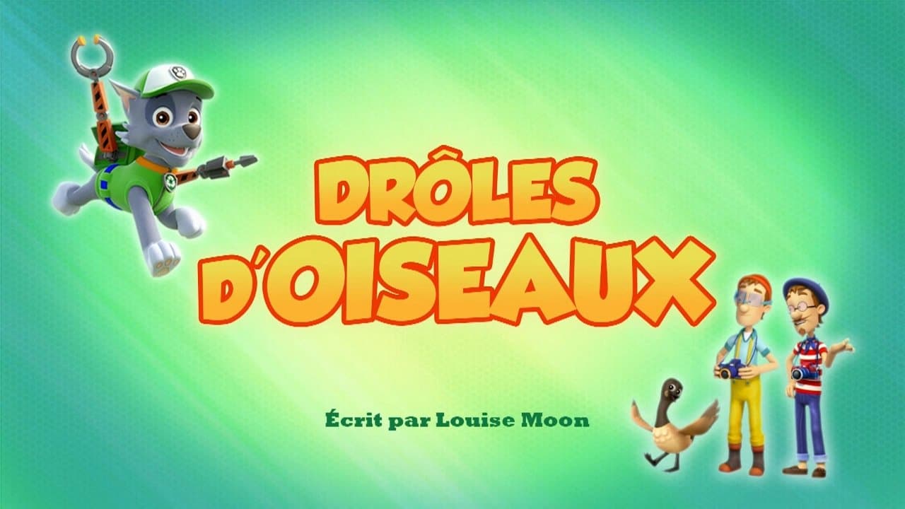 Drôles d'oiseaux Drôles d'oiseaux