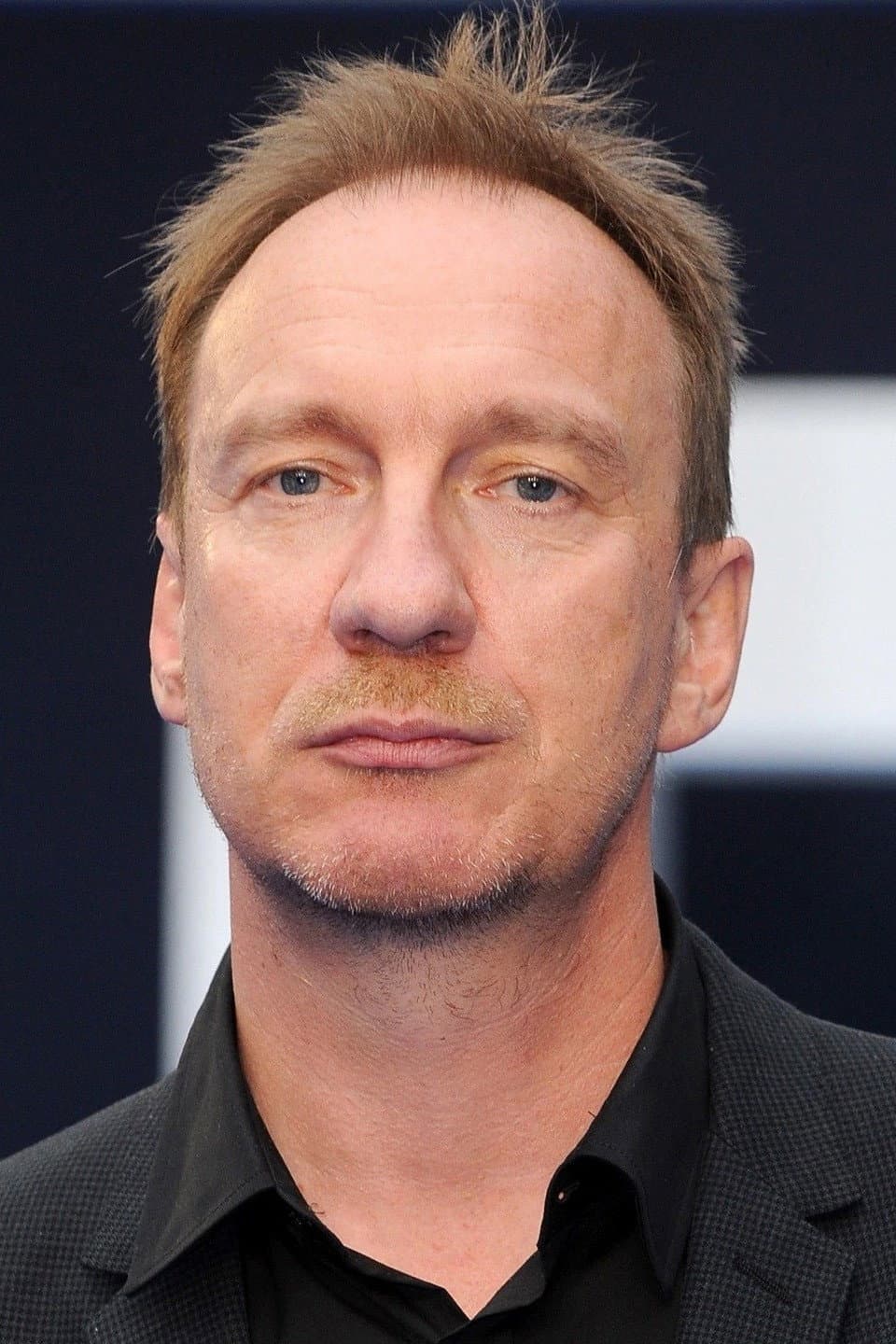 David Thewlis profile David Thewlis profile
