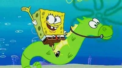 L'hippocampe L'hippocampe
