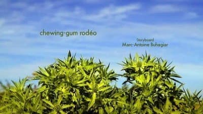 Chewing-gum rodéo Chewing-gum rodéo