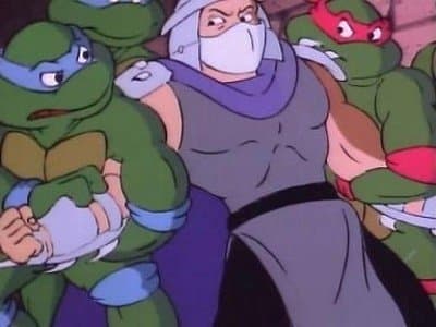Tortue inattendue Tortue inattendue