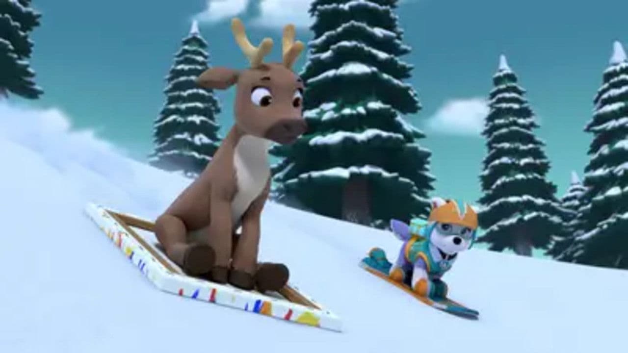 Le bébé caribou Le bébé caribou