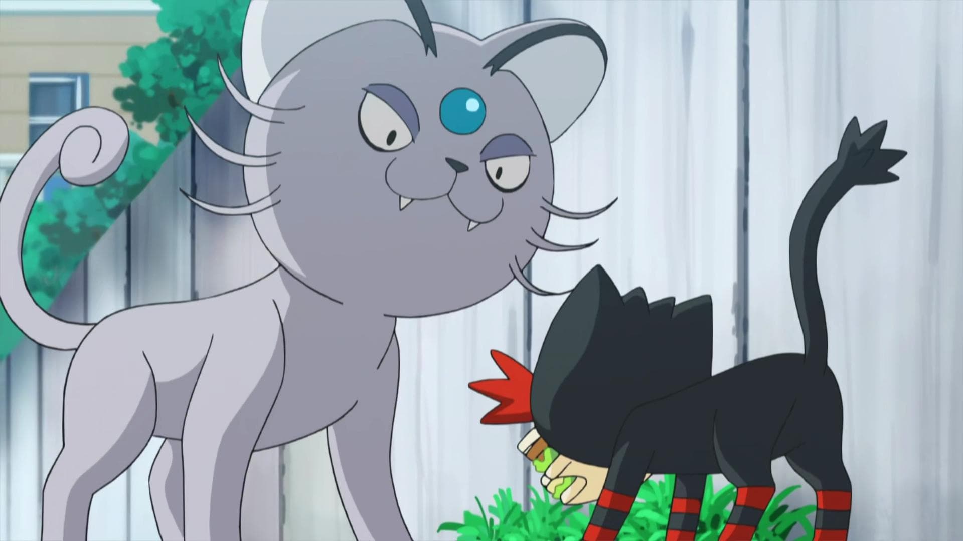 Ce coquin de Flamiaou ! Ce coquin de Flamiaou !
