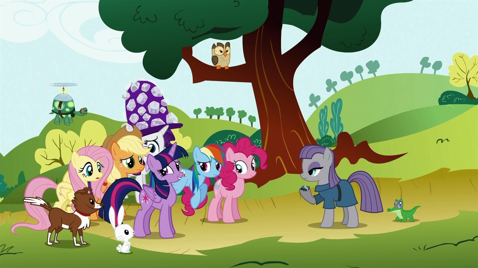 Maud Pie Maud Pie