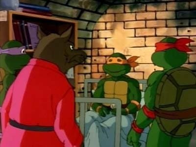 Donatello et le Gecko Donatello et le Gecko