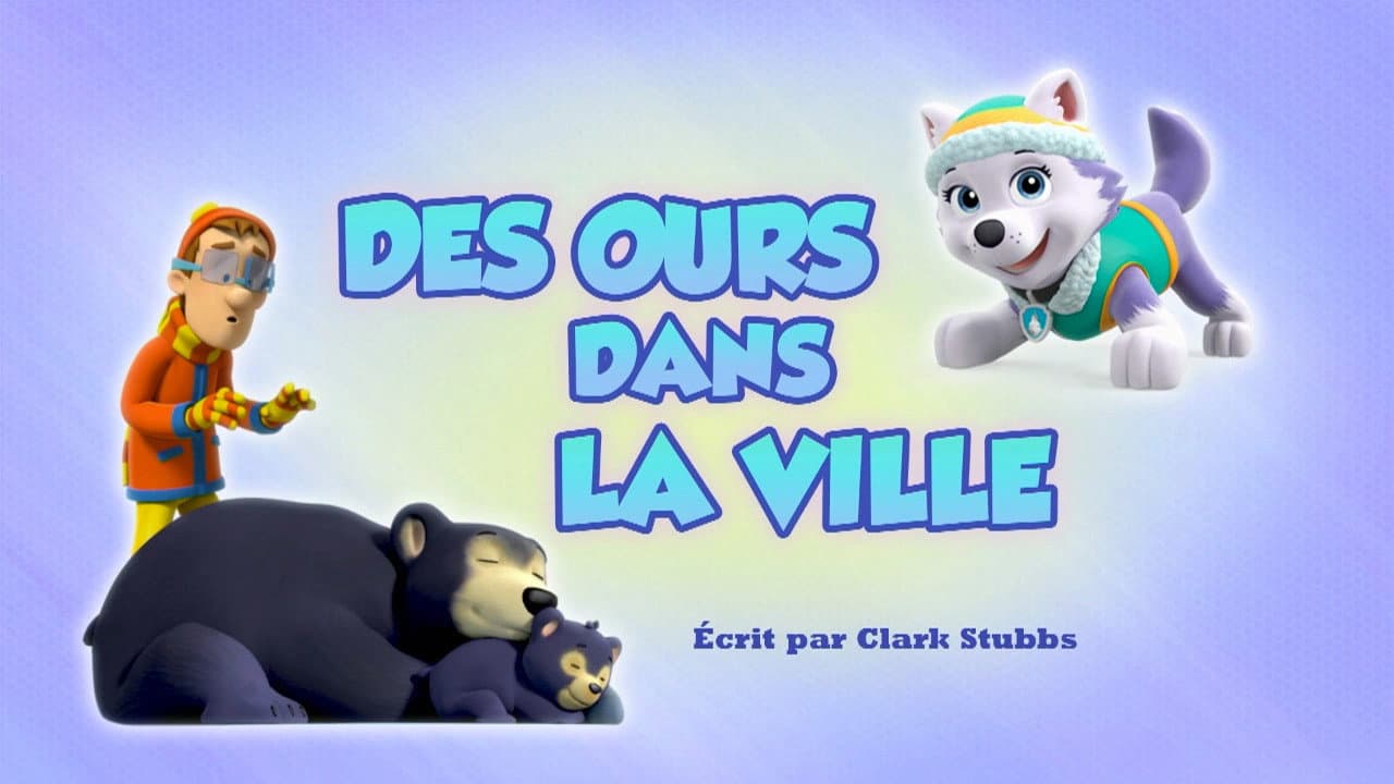 Des Ours dans la ville Des Ours dans la ville