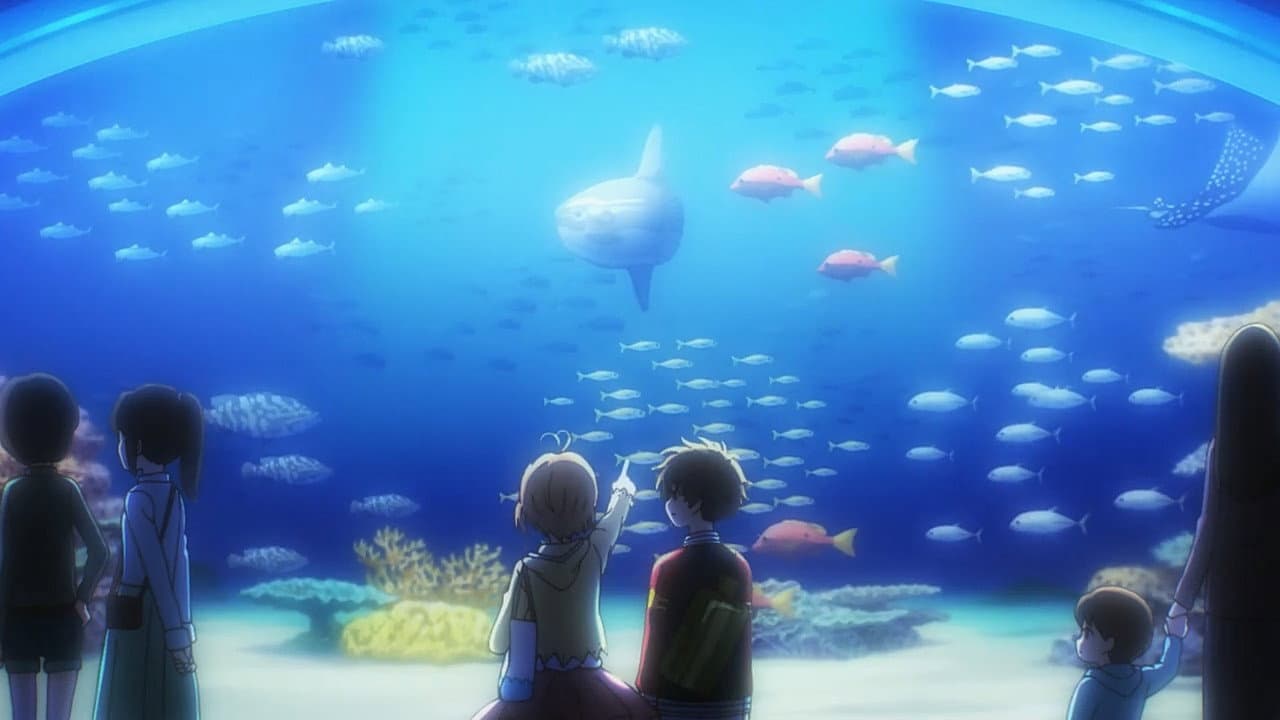 Sakura nerveuse à l'aquarium Sakura nerveuse à l'aquarium