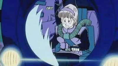 Les Déboires de Bulma Les Déboires de Bulma