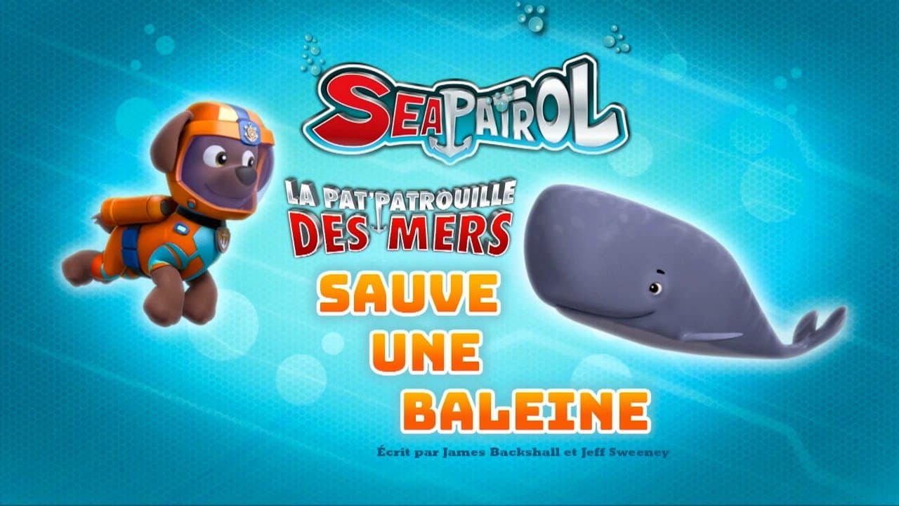 La Pat' Patrouille des mers sauve une baleine La Pat' Patrouille des mers sauve une baleine