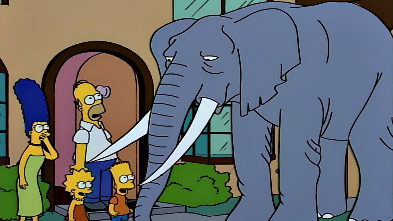 Mon pote l'éléphant Mon pote l'éléphant