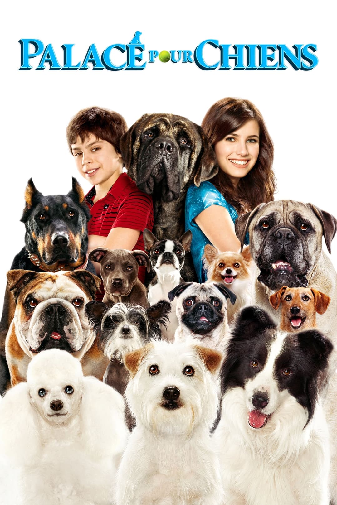 Palace pour chiens Palace pour chiens