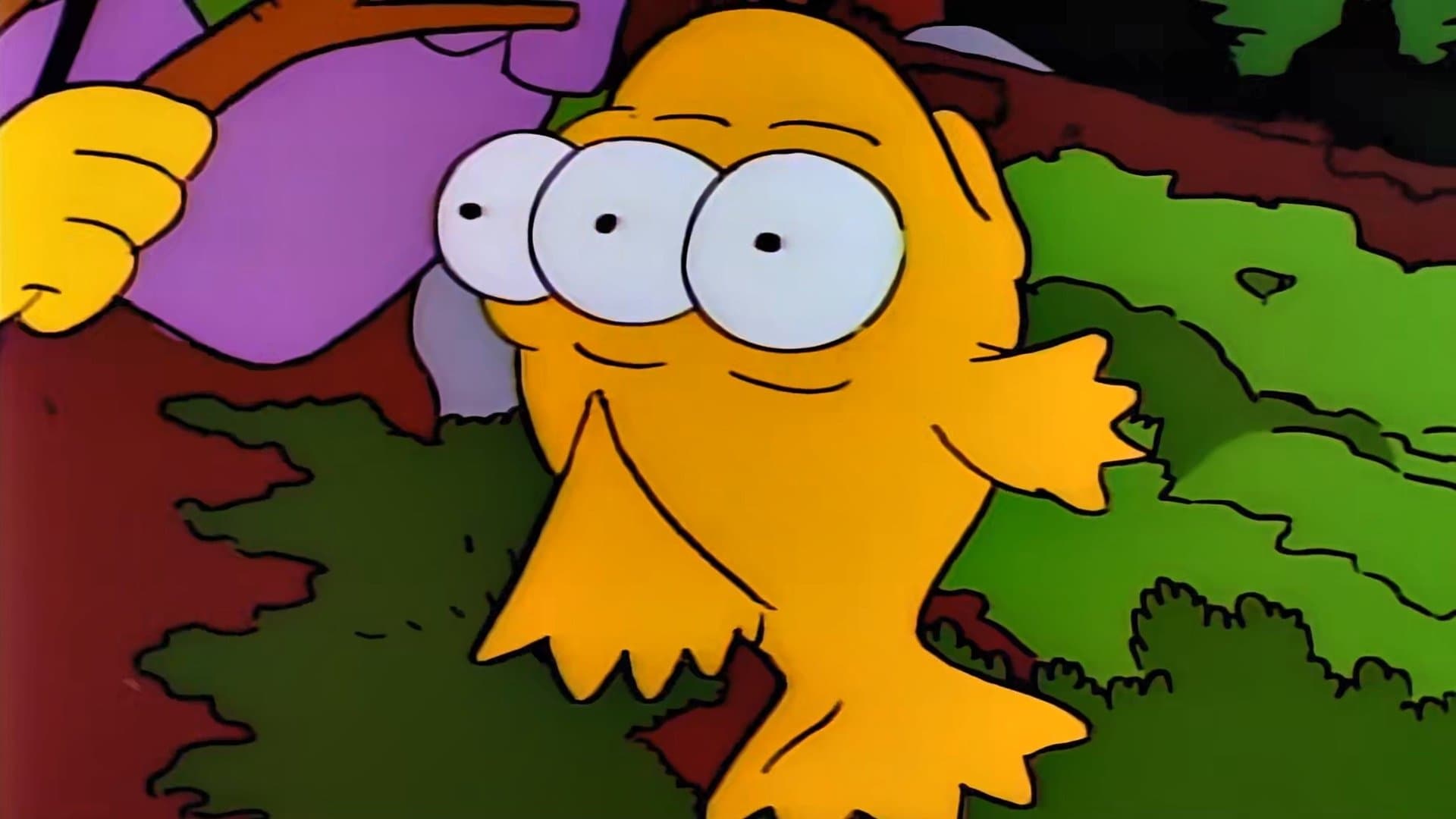 Sous le signe du poisson Sous le signe du poisson