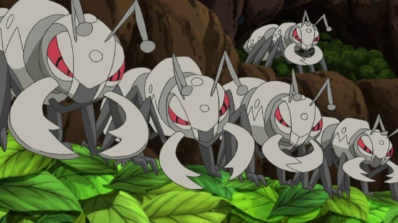 À la poursuite des voleurs de feuilles ! À la poursuite des voleurs de feuilles !