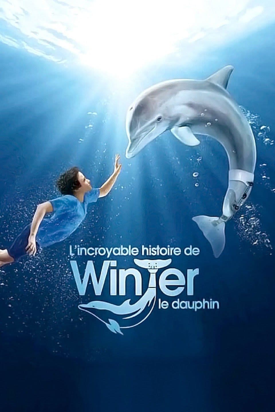L'Incroyable Histoire de Winter le dauphin L'Incroyable Histoire de Winter le dauphin