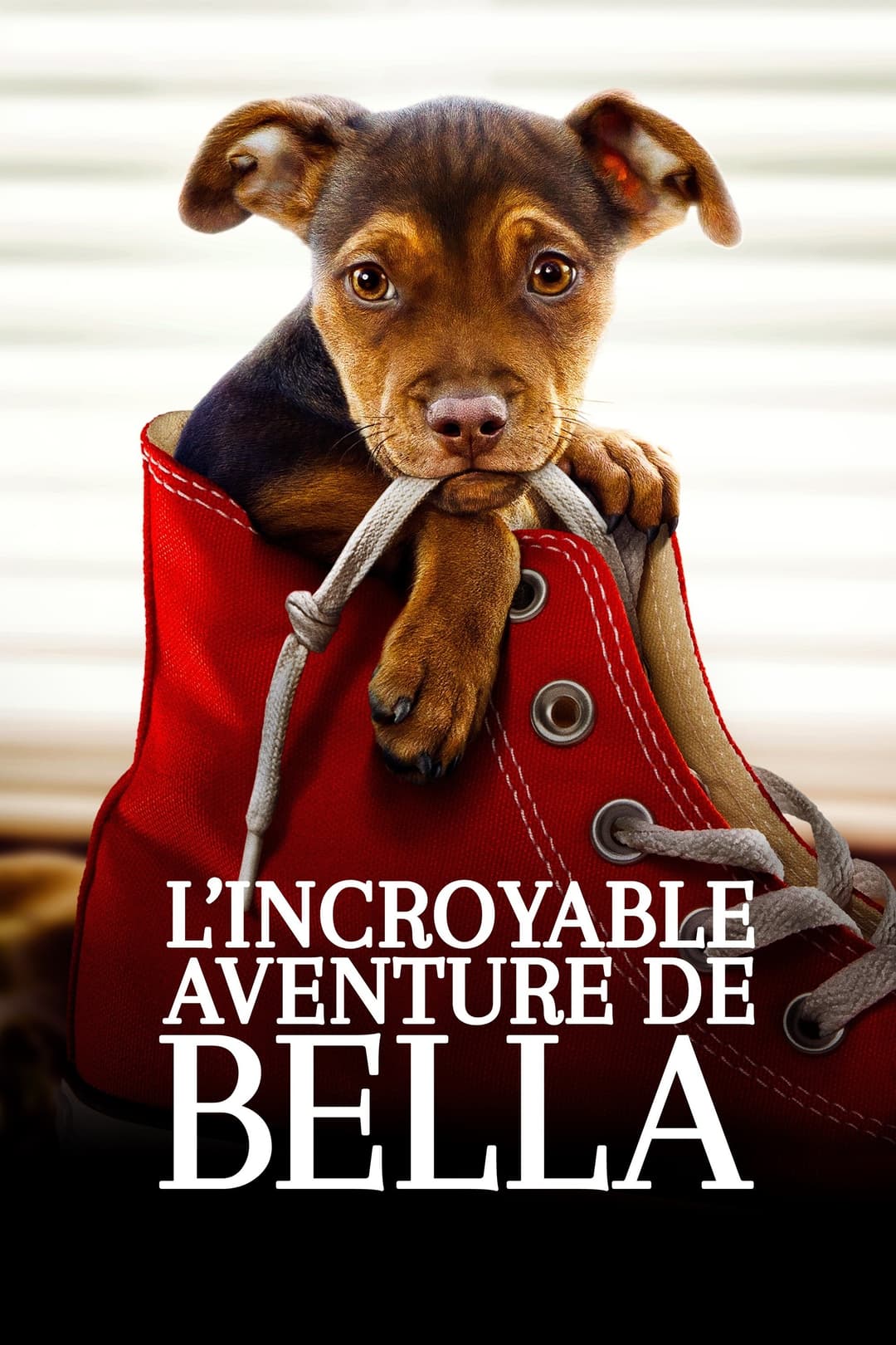 L'Incroyable Aventure de Bella L'Incroyable Aventure de Bella